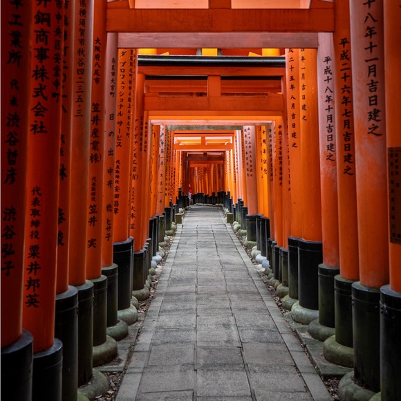Tan stretchy shorts medium euc ona - Picture 2 of 8
